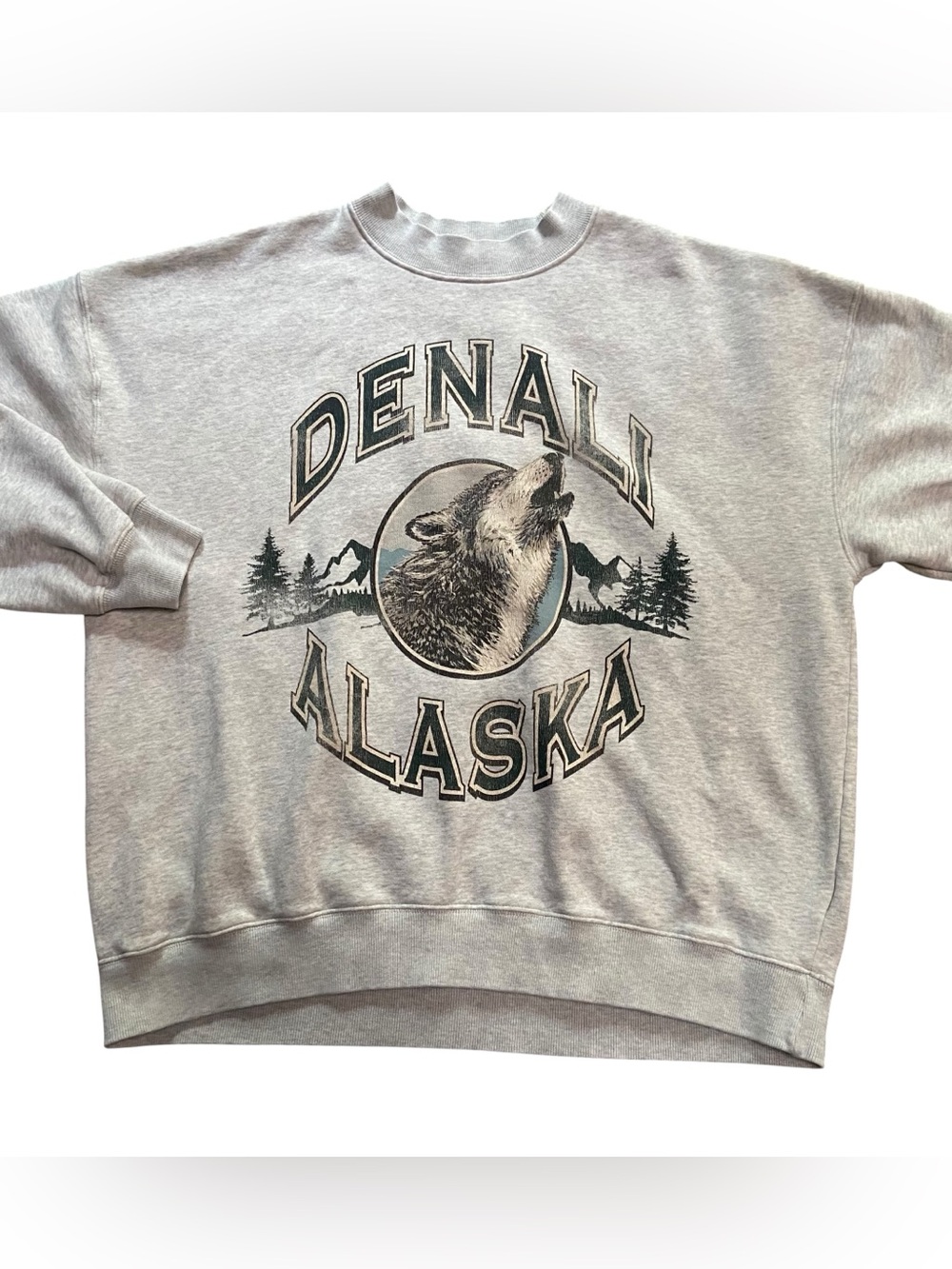 Abercrombie & Fitch Denali Oversized Sweatshirt M Alaska